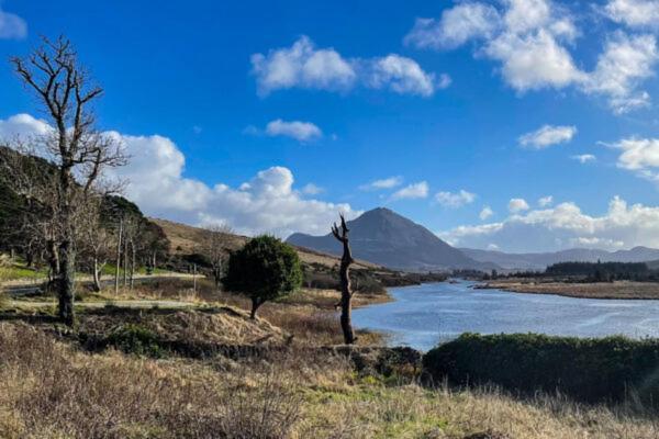 Apartmán Donegal Luxury Pods Gweedore Exteriér fotografie